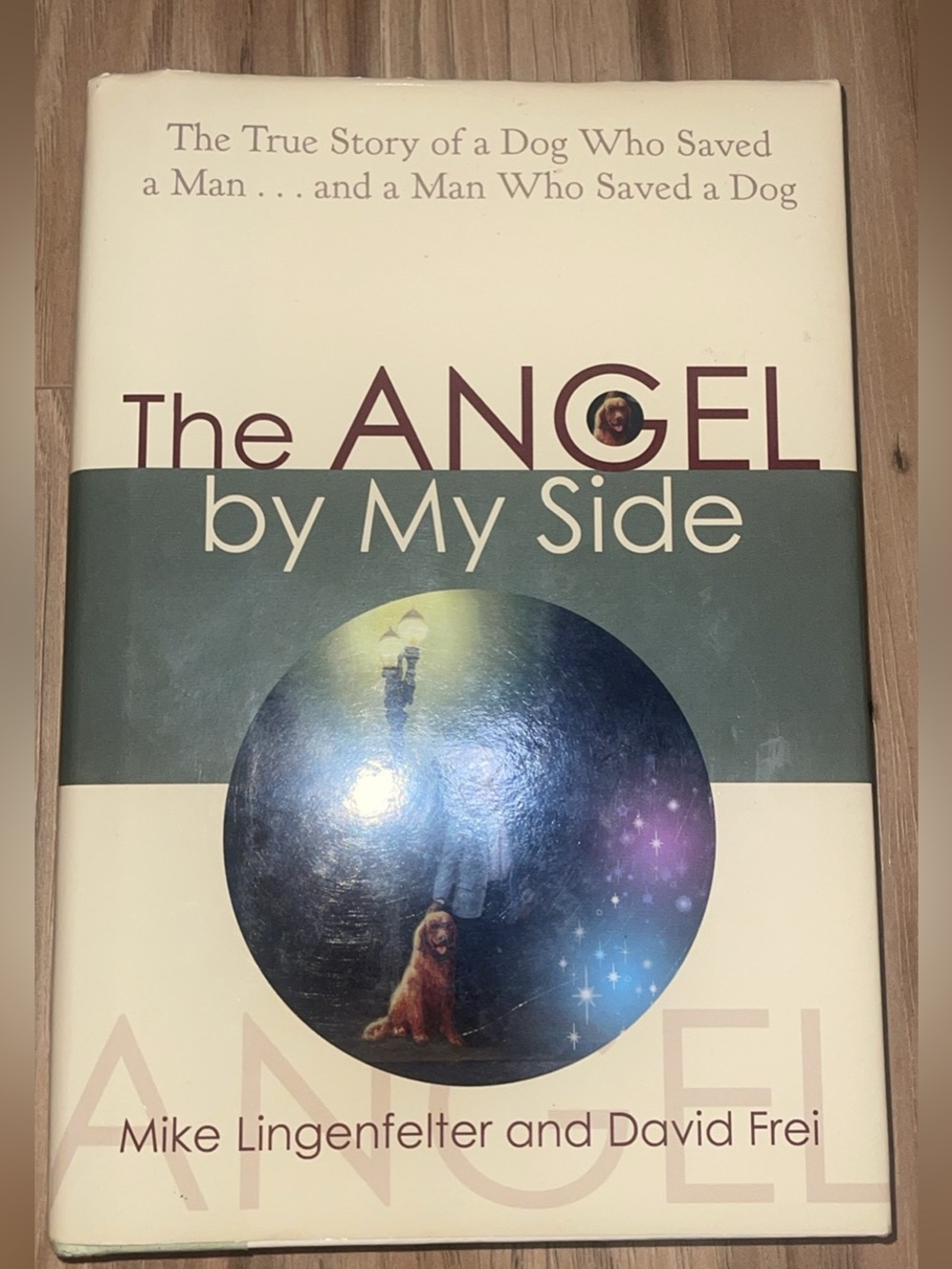 The Angel by My Side Hard cover book